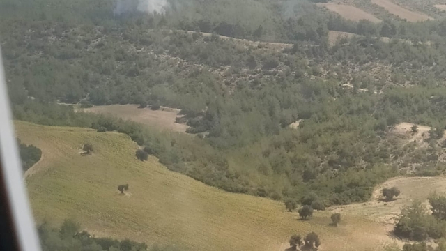 Adana'da orman yangını
