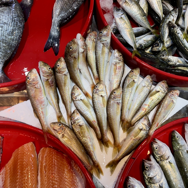 Trabzon'da balıkçı tezgahlarında bolluk yaşanıyor