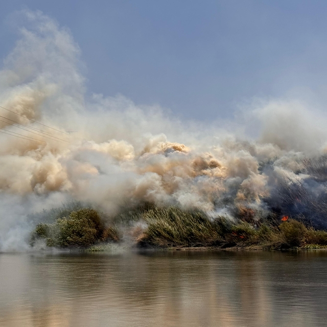 Hatay'da Asi Nehri'nin kenarındaki alanda çıkan yangın kontrol altına alınd...