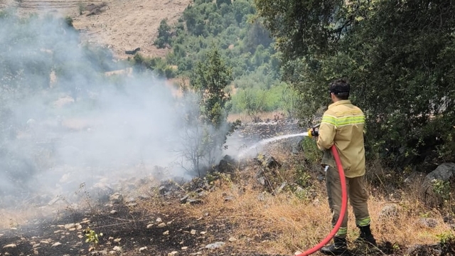 GÜNCELLEME - Antalya'da makilik alanda çıkan yangın kontrol altına alındı