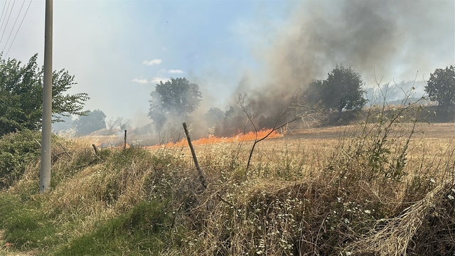 Çanakkale'de orman yangını (2)