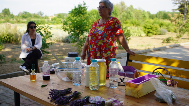 Edirne'de "8. Lavanta Tarla Günleri" etkinliklerle devam ediyor