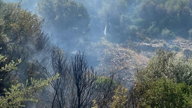 Aydın'da çıkan orman yangını kontrol altında