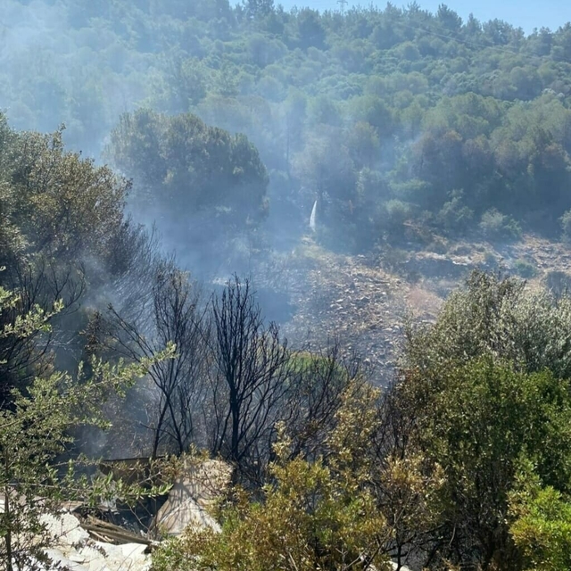 Aydın'da çıkan orman yangını kontrol altında