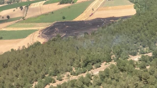 Bursa'nın Yenişehir ilçesinde tarlada çıkan yangın kontrol altına alındı