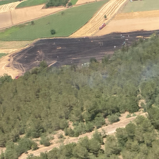 Bursa'nın Yenişehir ilçesinde tarlada çıkan yangın kontrol altına alındı