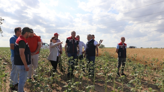 Edirne'de doludan etkilenen tarım arazilerinde hasar tespit çalışması yapıldı