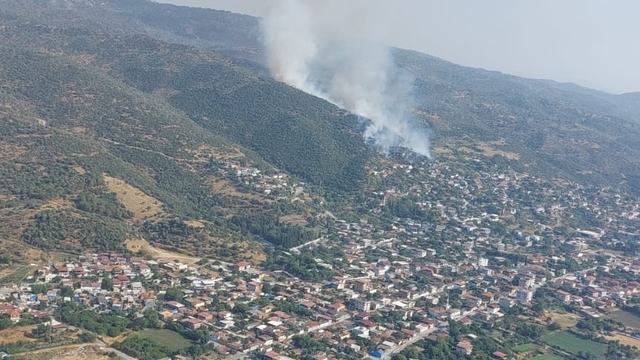 Aydın'da ziraat alanında çıkan yangına müdahale ediliyor
