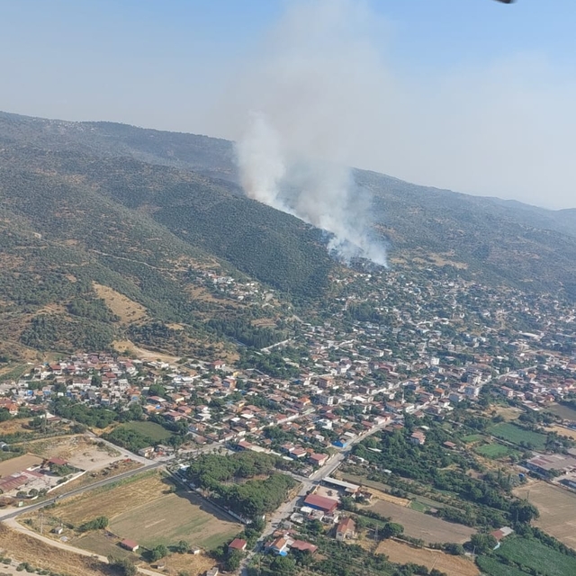 Aydın'da ziraat alanında çıkan yangına müdahale ediliyor