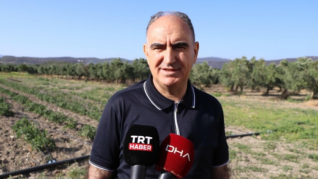 Manisa'da orman yangını (2)