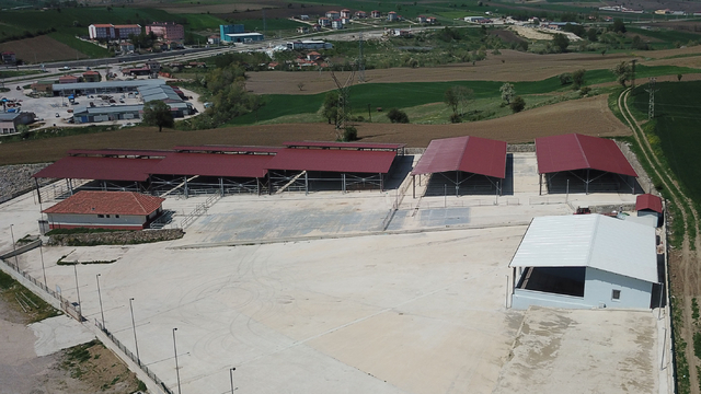 Havza'da canlı hayvan pazarı kapatıldı