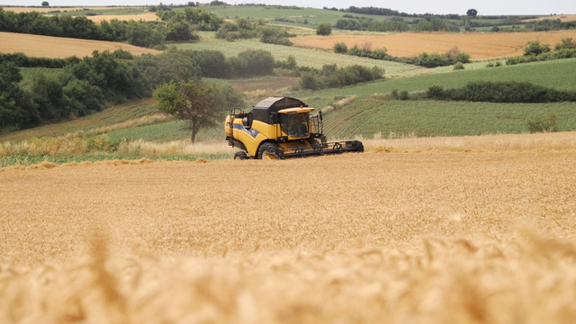 Hayrabolu'da buğday hasadı başladı