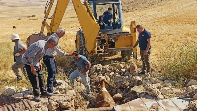 Siirt'te su kuyusuna düşen inek kurtarıldı
