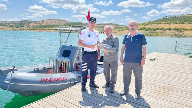 Yozgat'ta jandarmanın bulduğu gri balıkçıl tedaviye alındı