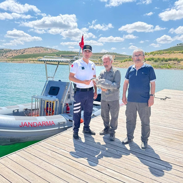 Yozgat'ta jandarmanın bulduğu gri balıkçıl tedaviye alındı