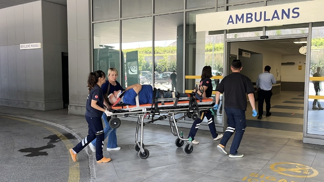 Kocaeli'de otomobil ağaca çarptı; sürücü ile eşi yaralı