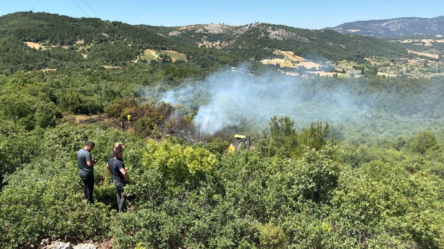 Manisa'daki orman yangınına 30 dakikalık müdahale