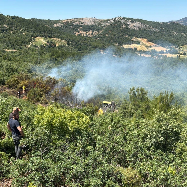 Manisa'daki orman yangınına 30 dakikalık müdahale