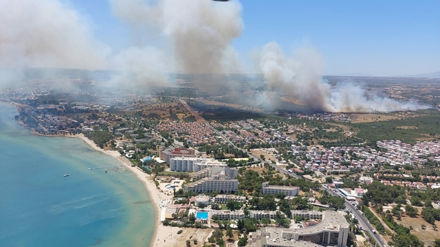 Aydın'da makilik yangını