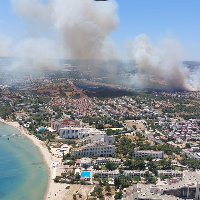 Aydın'da makilik alanda çıkan yangına müdahale ediliyor