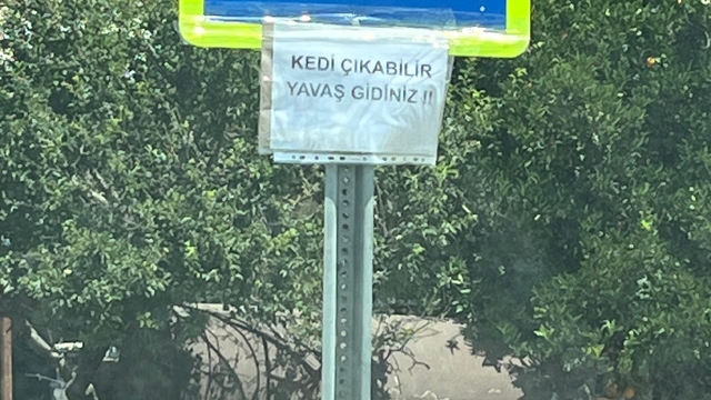 Serik'te hayvanseverler sürücüleri "kedi çıkabilir" yazısıyla uyardı