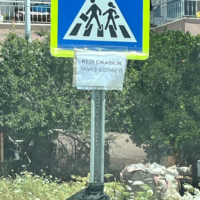 Serik'te hayvanseverler sürücüleri "kedi çıkabilir" yazısıyla uyardı