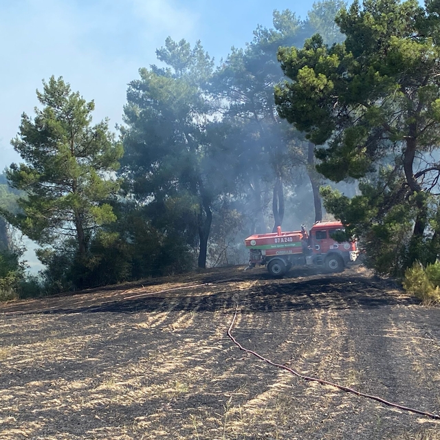 Antalya'da ormanlık alanda çıkan yangın kontrol altına alındı