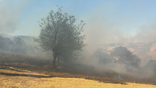 Bursa'da çıkan iki ayrı orman yangınına müdahale ediliyor