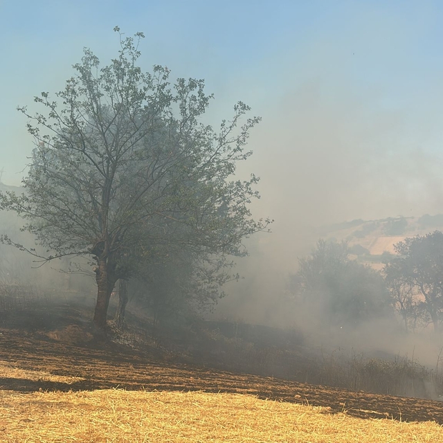 Bursa'da çıkan iki ayrı orman yangınına müdahale ediliyor