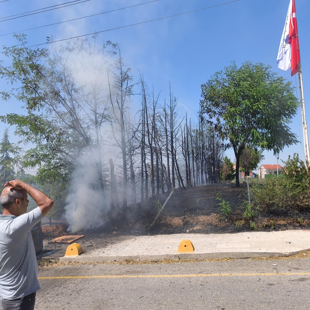 Edirne'de ot yangını; semt sahasına sıçramadan söndürüldü