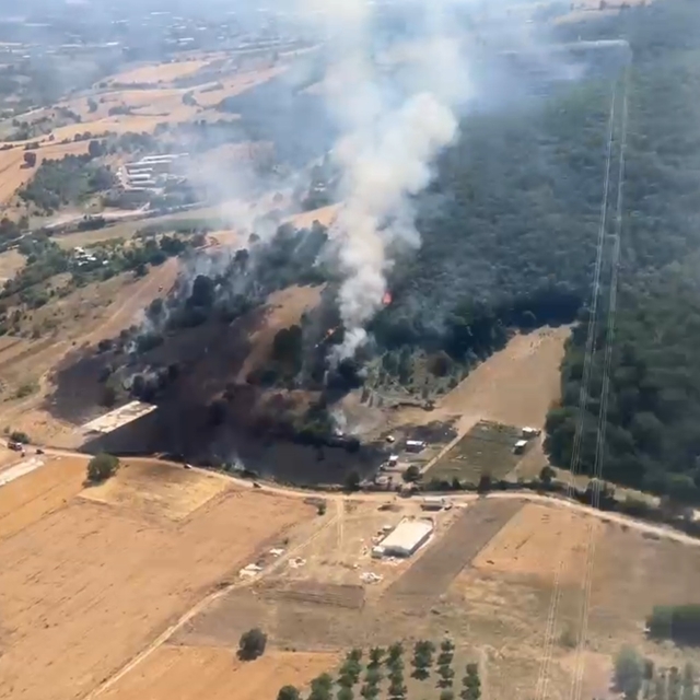 Bursa'da orman ve makilik yangını