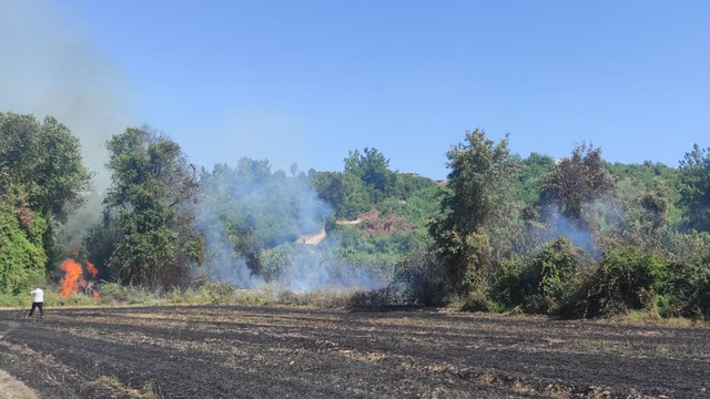 Antalya'da orman yangını (2)