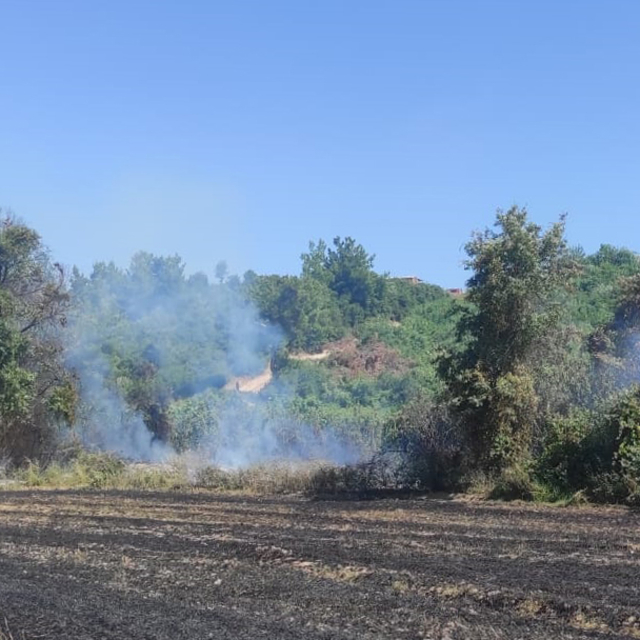 Antalya'da orman yangını (2)