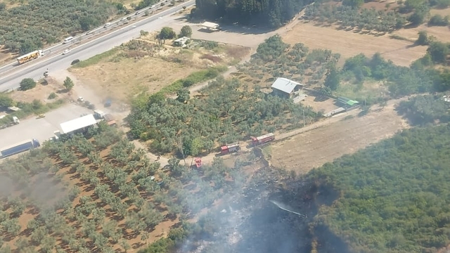 Bursa'da orman ve makilik yangını (2)