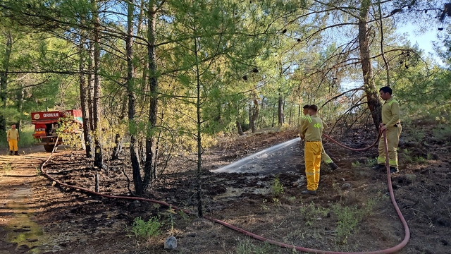 Muğla'da çıkan orman yangını söndürüldü
