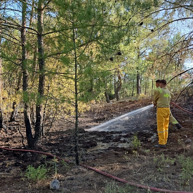 Muğla'da çıkan orman yangını söndürüldü