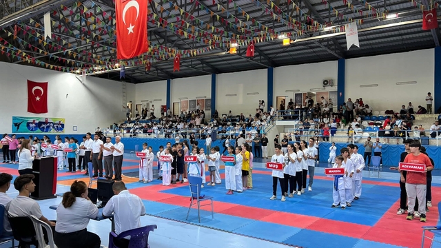 Diyarbakır'da "3. Çermik Geleneksel Bölge Karate Turnuvası" başladı
