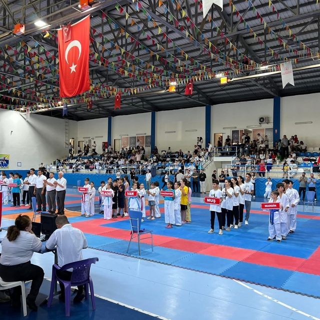 Diyarbakır'da "3. Çermik Geleneksel Bölge Karate Turnuvası" başladı