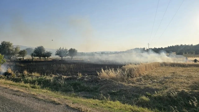 Gediz'de çıkan tarla yangınında, 5 dönüm ekili alan küle döndü