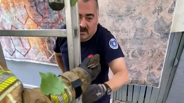 Bursa'da çatıya sıkışan ebabil kuşunu itfaiye görevlisi kurtardı