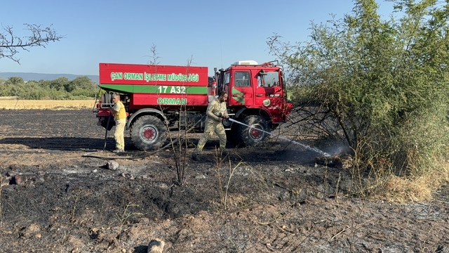 Çanakkale'de tarım arazisinde çıkan yangın söndürüldü