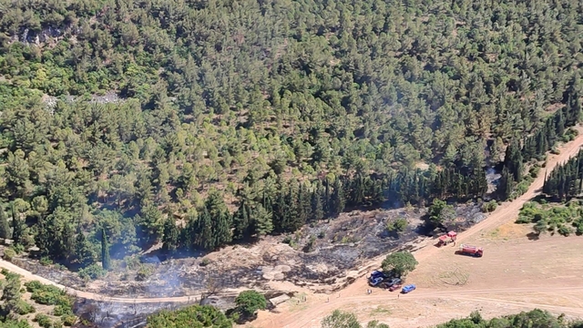 Semaver yakarken ormanı da yaktı; gözaltında
