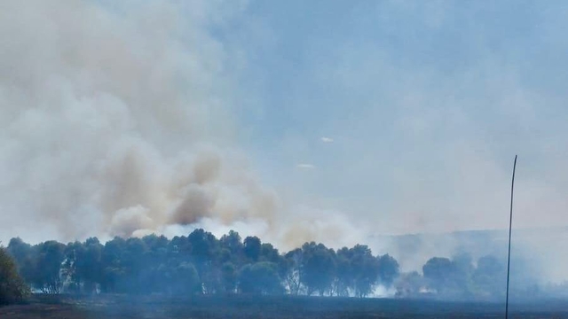 Kırklareli'nde tarım arazisinden ağaçlık alana sıçrayan yangın söndürüldü