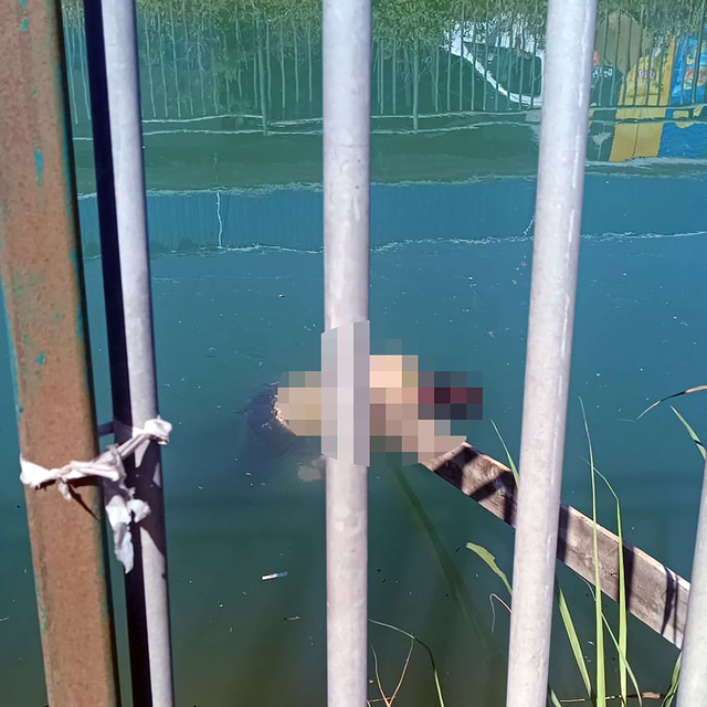 Adana'da sulama kanalında erkek cesedi bulundu