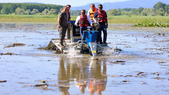 Vali, saz kesme makinesi ile gölü temizledi
