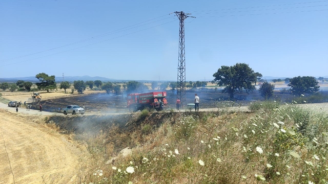 Çanakkale'de arazide çıkan yangın söndürüldü