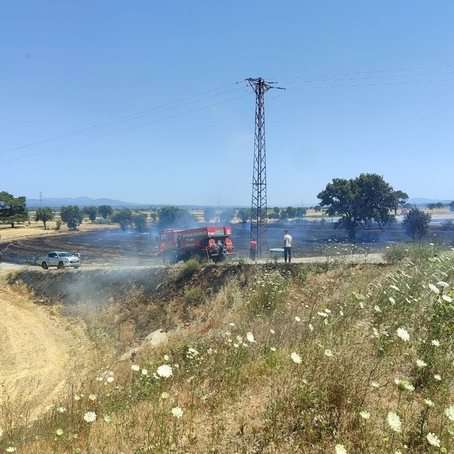 Çanakkale'de arazide çıkan yangın söndürüldü