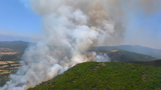 Bursa'da orman yangını