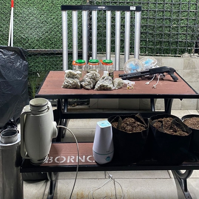 İzmir'de evindeki serada uyuşturucu imal eden şüpheli yakalandı