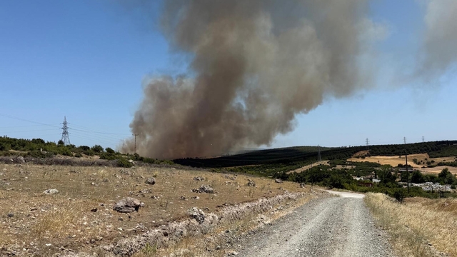 Çanakkale'de orman yangını